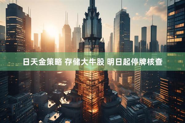 日天金策略 存储大牛股 明日起停牌核查